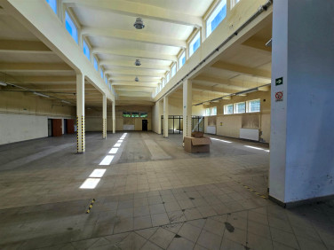Budynek użytkowy Piotrków Trybunalski wynajem
