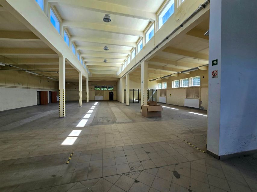 Budynek użytkowy Piotrków Trybunalski wynajem