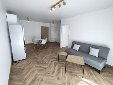 Lokal Katowice