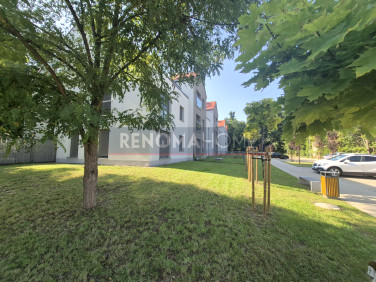 Mieszkanie Brzeg Dolny