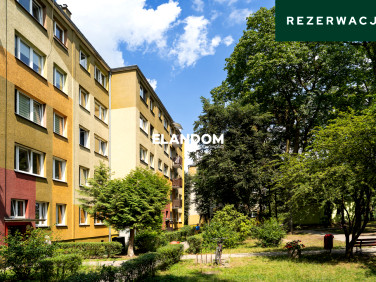 Mieszkanie przy lesie