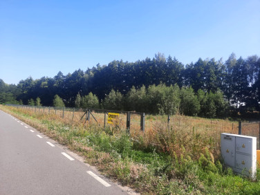 Działka budowlana Korzekwin