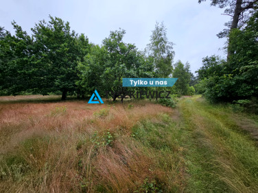 Działka przy lesie
