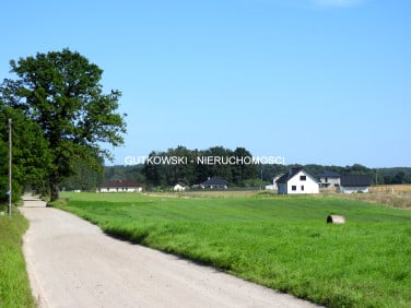 Działka Starzykowo