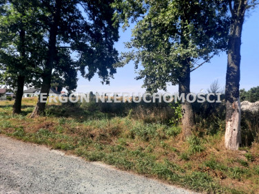 Pusta działka Chojno