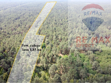 Działka leśna sprzedam