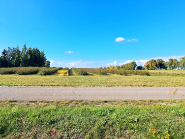 Działka budowlana TARŁO-KOLONIA