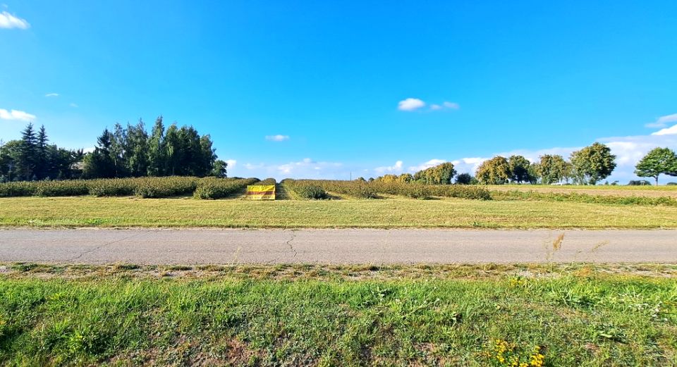 Działka budowlana TARŁO-KOLONIA