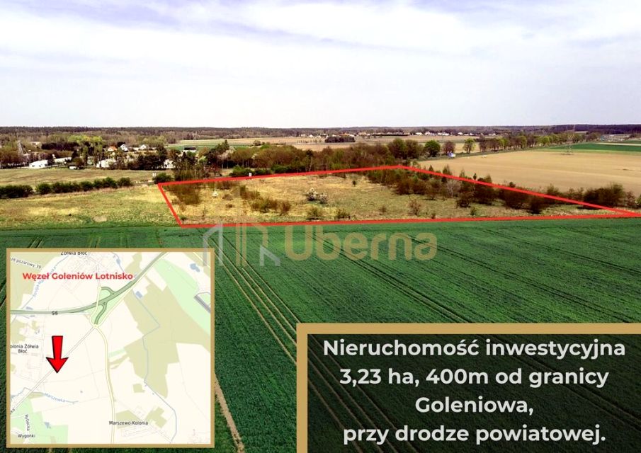 Działka Żółwia Błoć