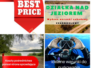 Działka budowlano-rolna Czarnogłowy sprzedam