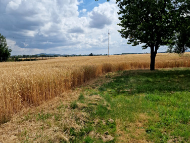 Działka budowlana Jugowa