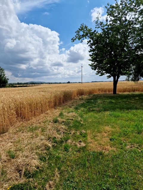 Działka budowlana Jugowa