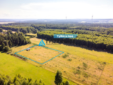 Działka siedliskowa Dąbrowa Brzezieńska