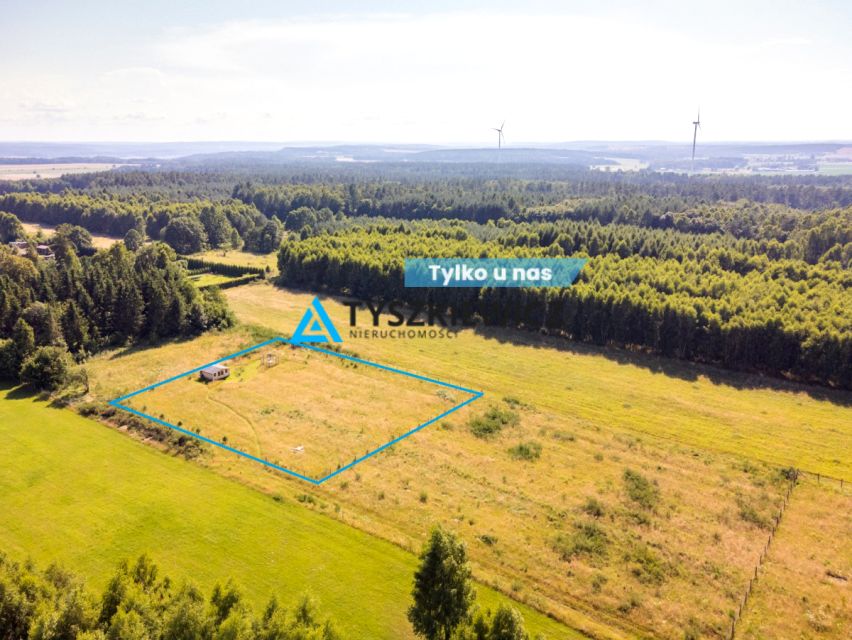 Działka siedliskowa Dąbrowa Brzezieńska