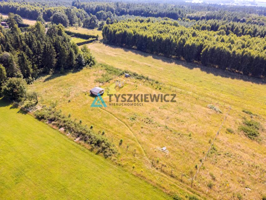 Zdjęcie 3
