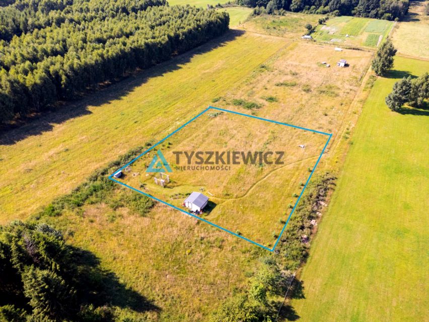 Zdjęcie 2