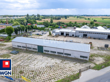 Budynek użytkowy Mogilno