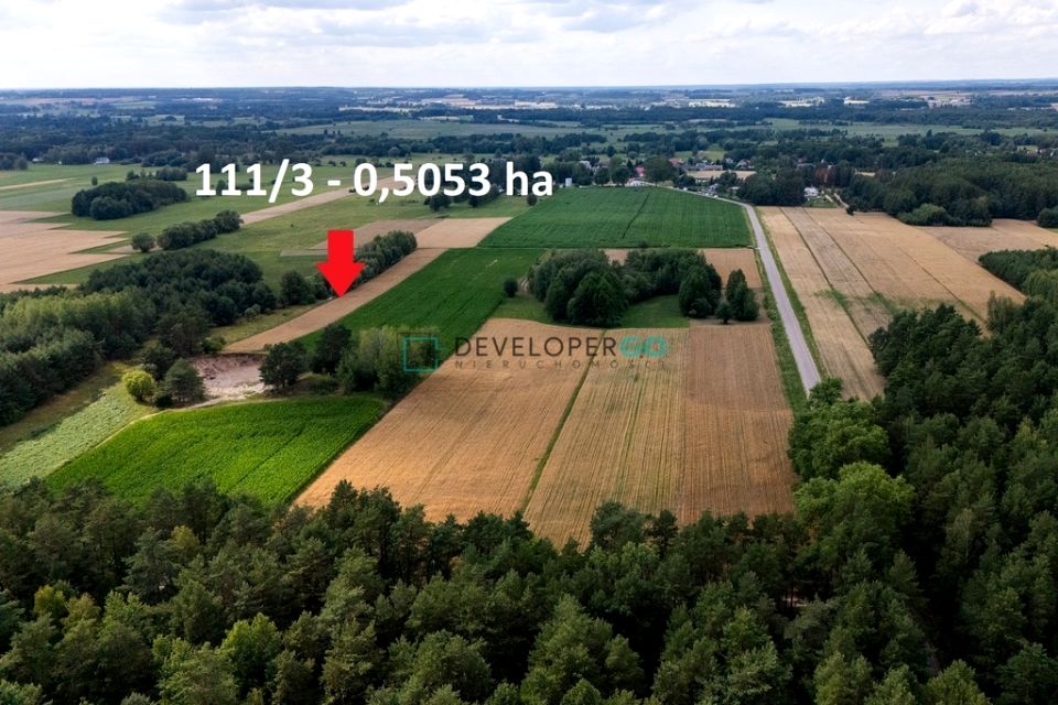Działka rolna Rogowo