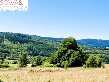Działka Sierpnica