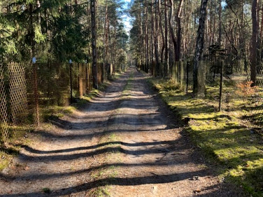 Działka leśna Nowy Żabieniec