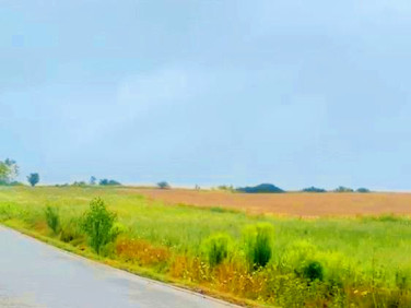 Działka inna Przytok