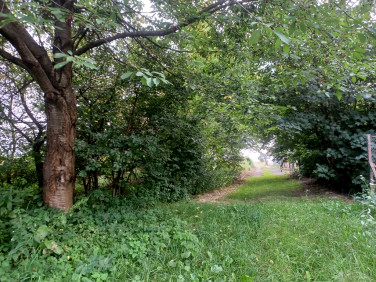 Działka siedliskowa Piotrków Pierwszy