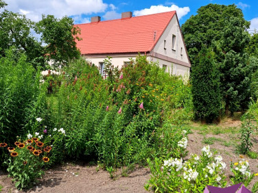 Mieszkanie Serock
