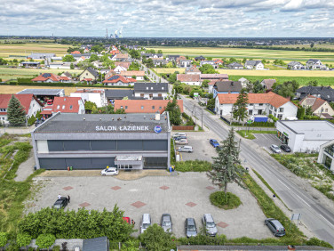 Lokal Opole