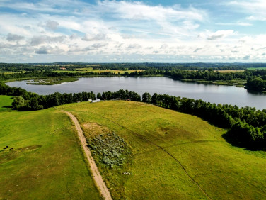 Zalesiona działka Mojtyny