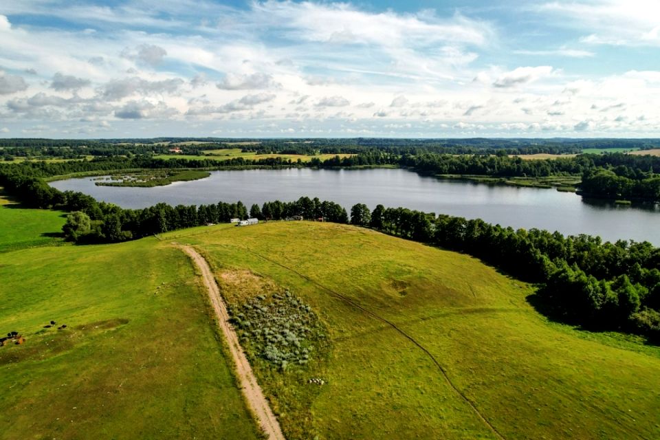 Zalesiona działka Mojtyny