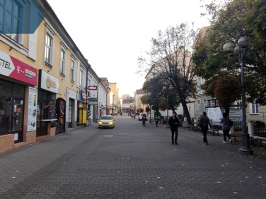 Lokal Rzeszów wynajem