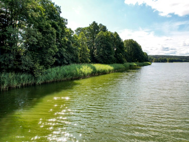 Działka budowlano-rolna sprzedam