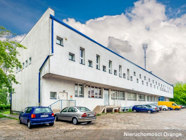 Lokal Koszalin