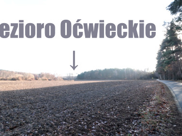 Działka Oćwieka