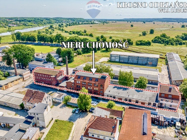 Dom Krosno Odrzańskie