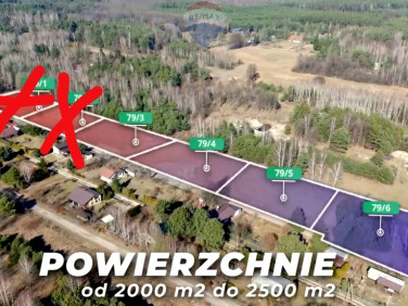 Działka budowlana GRABINA RADZIWIŁŁOWSKA