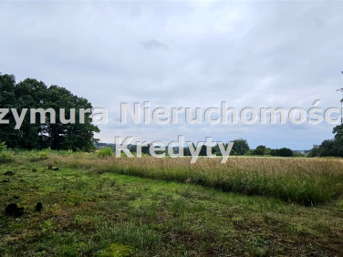 Działka rolna Jejkowice