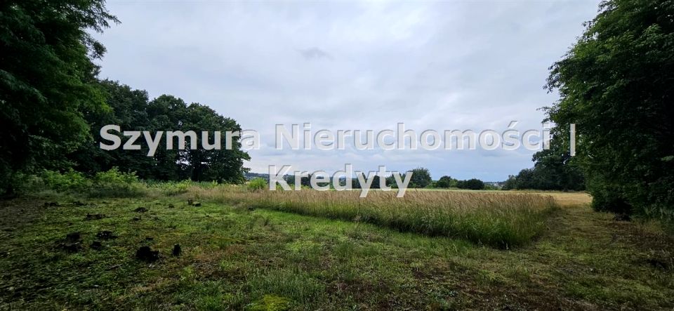 Działka rolna Jejkowice