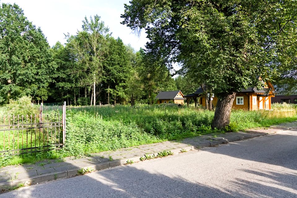 Działka Białowieża