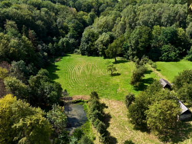 Działka Zalasowa