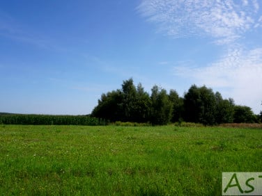 Działka budowlana Zelków