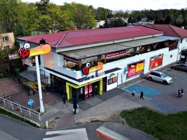 Lokal Głogów