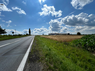 Działka usługowa Tarnowskie Góry