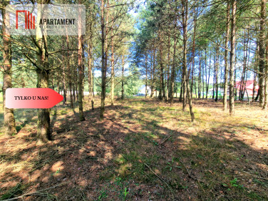 Działka inna Miedzno