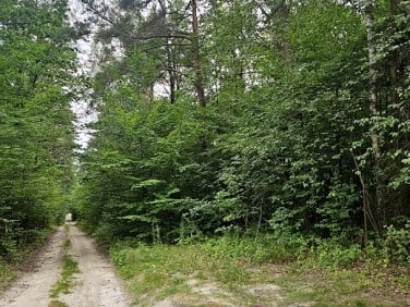 Działka budowlana Pniewy
