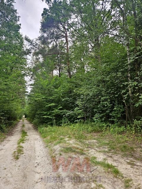 Działka budowlana Pniewy