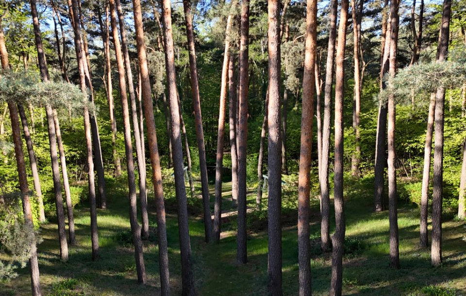 Działka budowlana Sokolniki-Las sprzedam