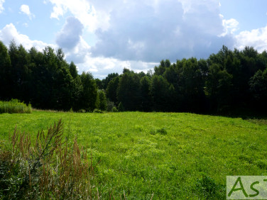 Działka Grojec