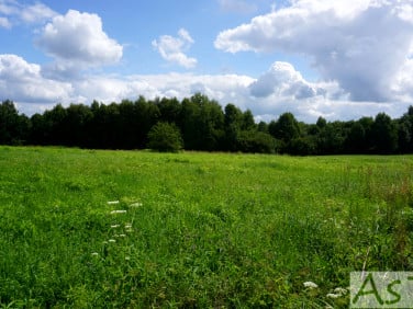Działka Grojec