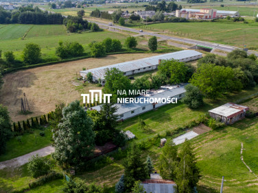 Lokal Łańcut